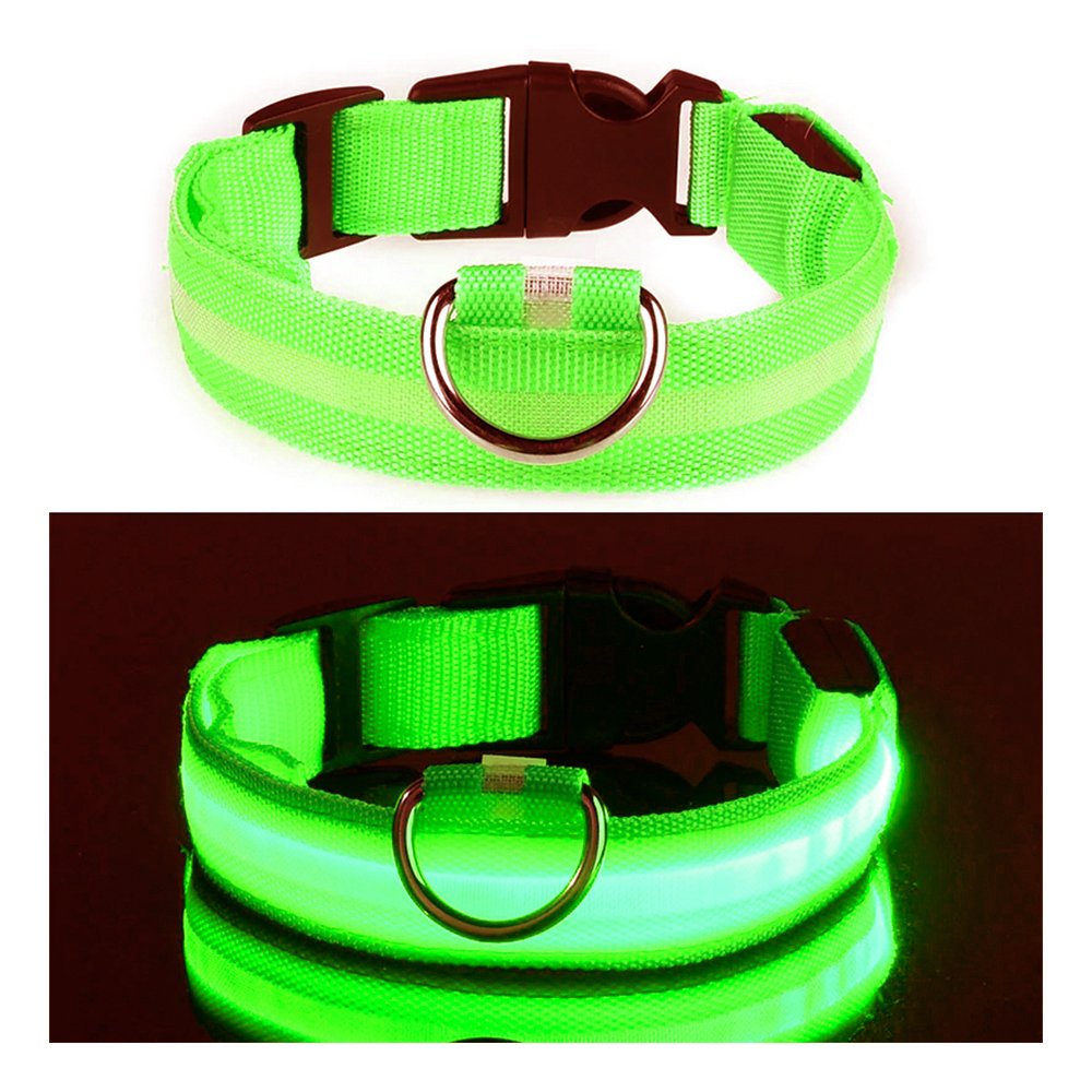 LED Hundhalsband - Grön - Small