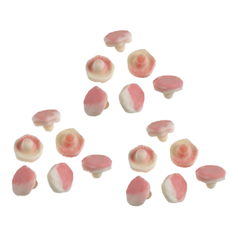 Fruktsvampar Storpack - 1,8 kg