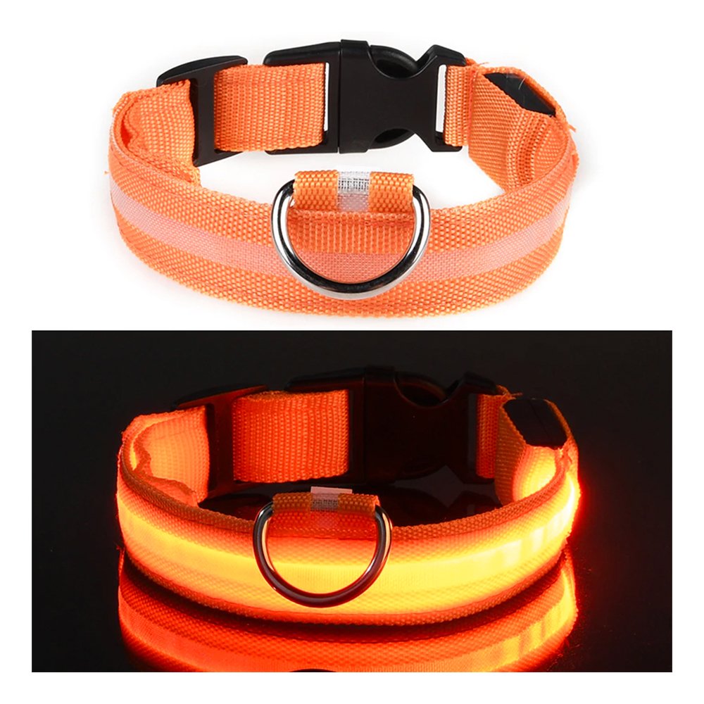 LED Hundhalsband - Orange - Small